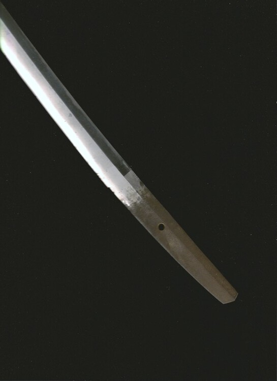 007.jpg