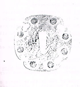 post-51-14196912707388_thumb.jpg