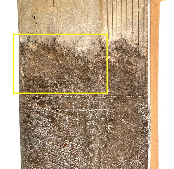 post-4940-0-70550000-1592397692_thumb.jpg