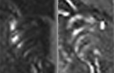 post-10-14196948551841_thumb.jpg