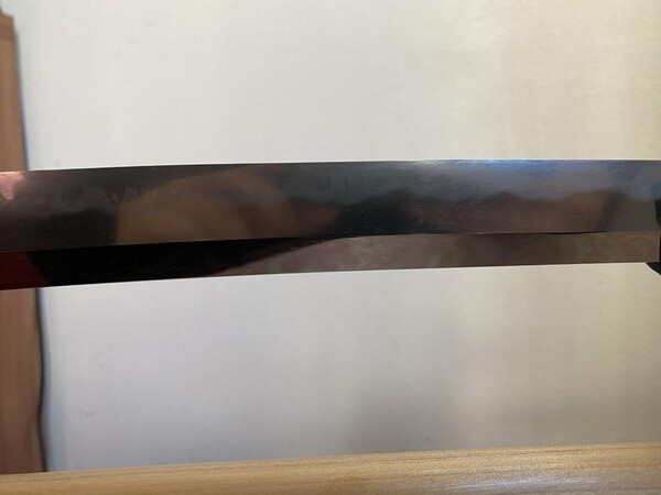 post-5103-0-81222400-1576662534_thumb.jpeg
