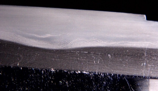 DSCI0269.jpg