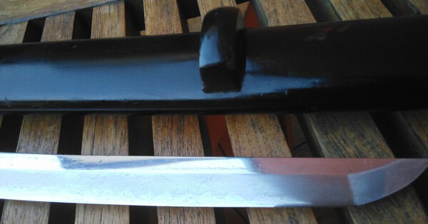 p_202073.jpg