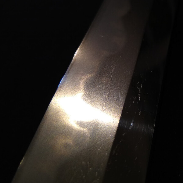 PSX_20201118_222855.jpg