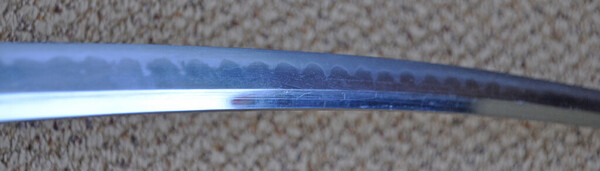 DSC_1584 Re-Sized.jpg