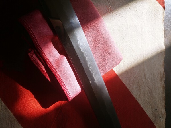 20210131_172953_HDR.thumb.jpg.f8a4d19a595eda3d83f778d2bccb47e0.jpg