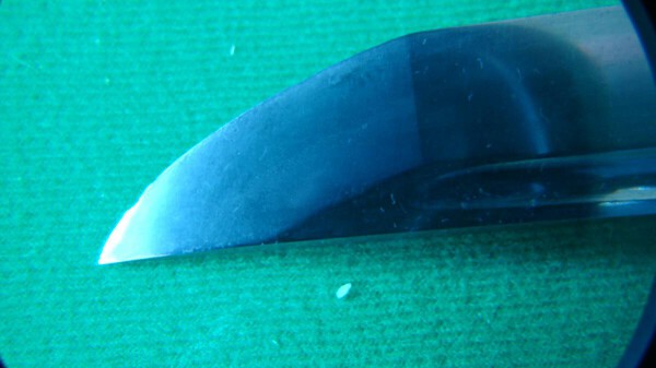 image_4228886.jpg