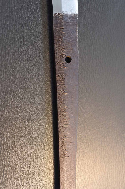 kiku5.thumb.jpg.81f4e36e1862d089f99d7286d5f8b4ad.jpg