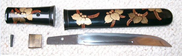 Kwaiken2.thumb.JPG.0c282f4972eec371759e8ffe5e237374.JPG