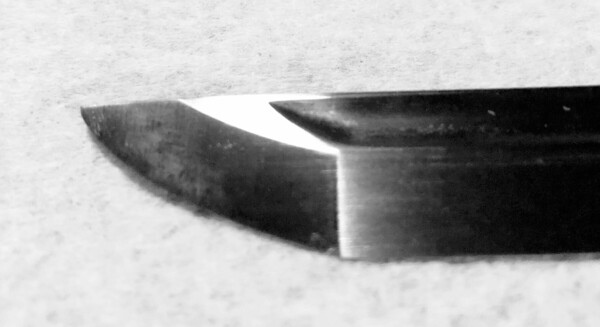 20200211_092604.thumb.jpg.e8d00a1ee018335edae3465fe7e609f6.jpg