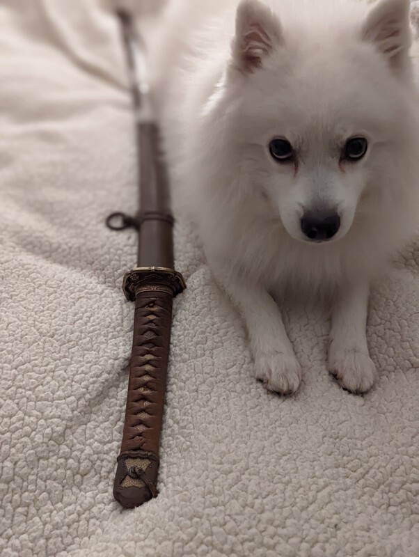 PXL_20211113_170319525.PORTRAIT (1).jpg