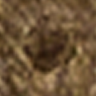 image.png.cc78797ef36eb017f7665a11ba8f25ad.png