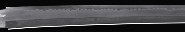 image.thumb.png.755101f8d909204a13c2671d06243a9b.png