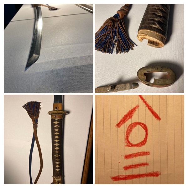 20221204_145213-COLLAGE.thumb.jpg.dcd1ad5666dd608438849f1e99eedffb.jpg