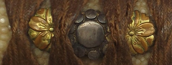 DSCF5794 (2).JPG