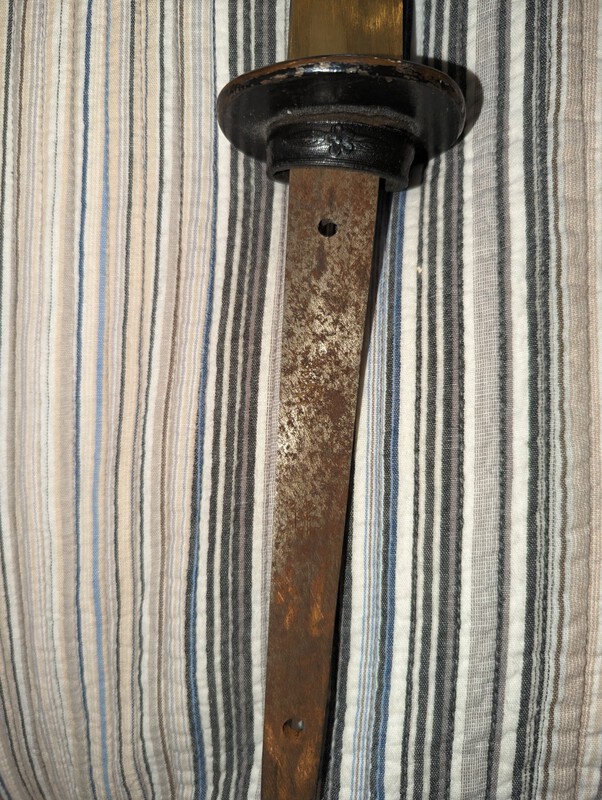 PXL_20230421_205718249.jpg
