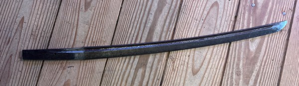 IMG_2585.jpeg