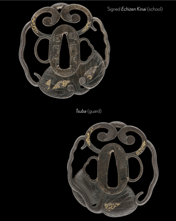 image.thumb.png.538a89d7772405196a58ab1f1a3af620.png