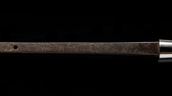 D85_7024.jpg