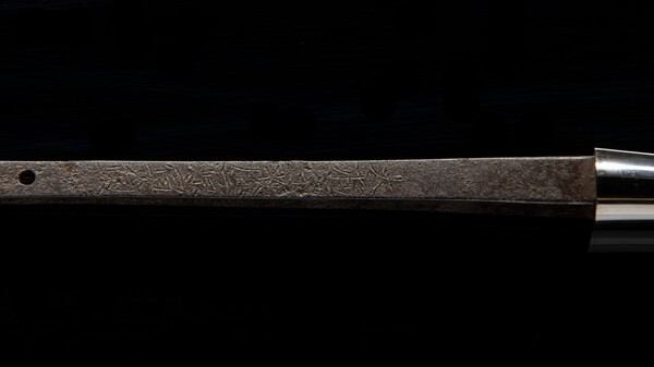 D85_7029.jpg