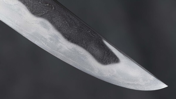 D85_0835 sm.jpg