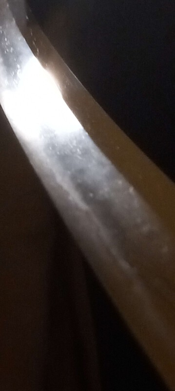 20250315_234840.jpg