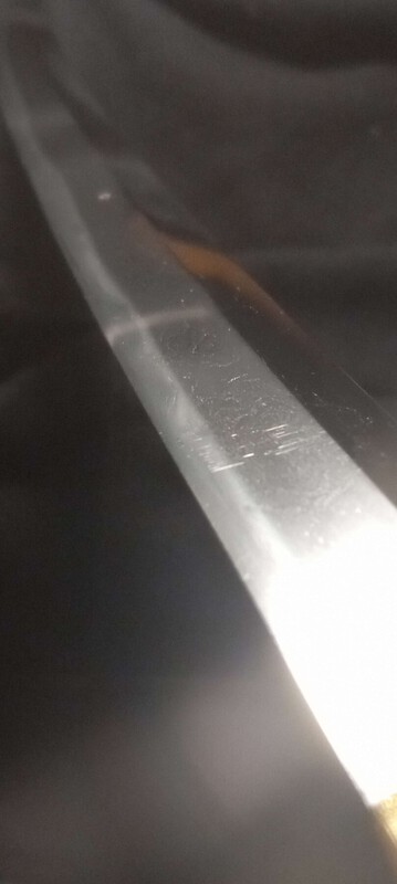 20250316_155323.jpg