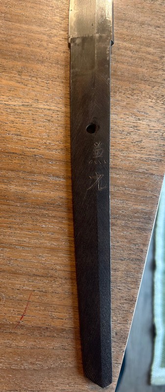 IMG_4493.thumb.jpeg.149c8a2872913ca96880f17453ea20ed.jpeg
