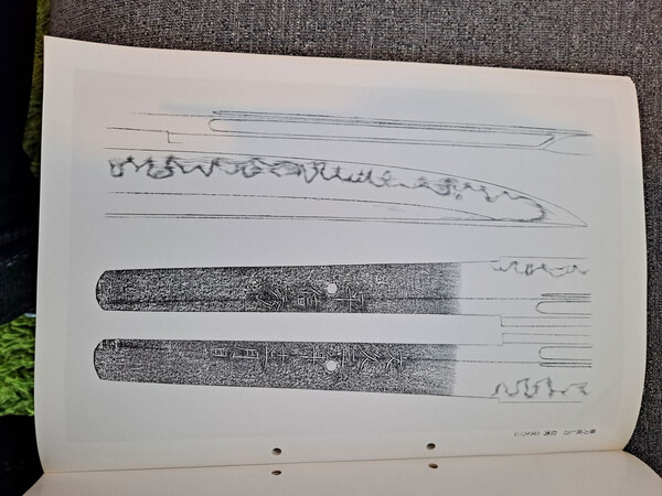 20250424_162513p.thumb.jpg.76e84016c89c2ea4d450315f156f9906.jpg