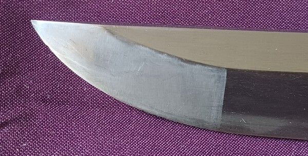 20250519_124011.jpg