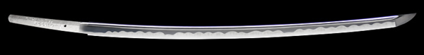 IMG_6636.png