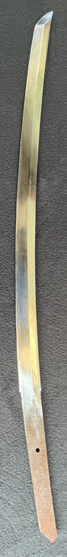 IMG_7305.thumb.jpeg.55c4d196b00b011677d37234b45ed844.jpeg