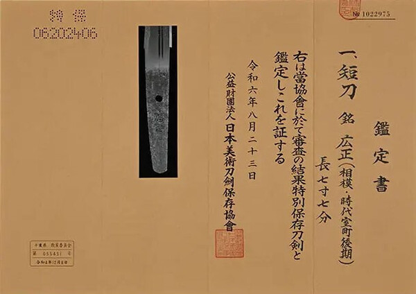 Screenshot 2025-06-07 202558.jpg