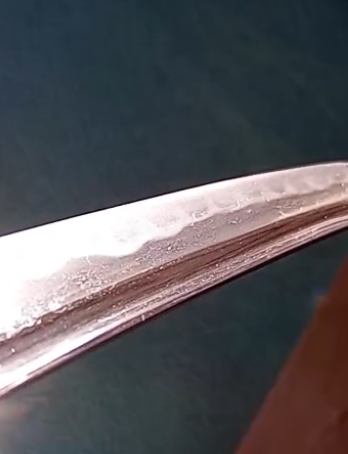image.png.0ab0b5e25dc071890e28168e9cbea208.png