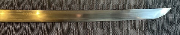 IMG_4940.jpeg