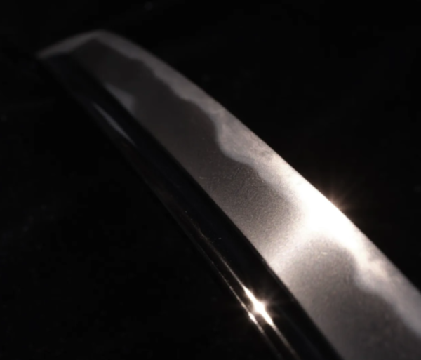 image.thumb.png.234355c2f8812d546cc688da17c63124.png