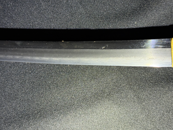 image.thumb.png.ed933e0ccb6e657e1d313dc3371e21ba.png
