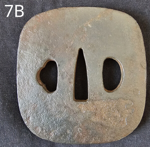 7B.jpg