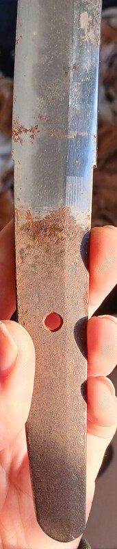 20260107_084945.jpg