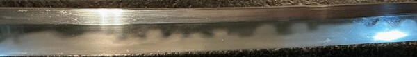IMG_5730.JPG