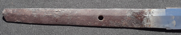 20260321_140914.jpg