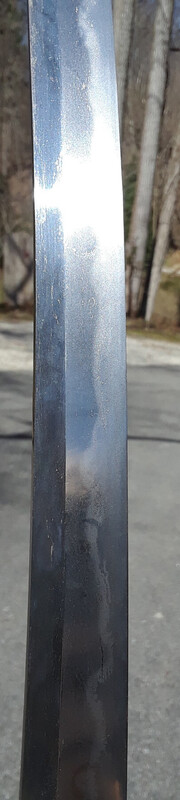 20260321_140942.jpg