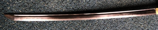image.thumb.png.d1d7d1015276709379fda65e1eba383e.png