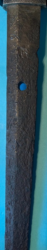 IMG_2955.jpeg