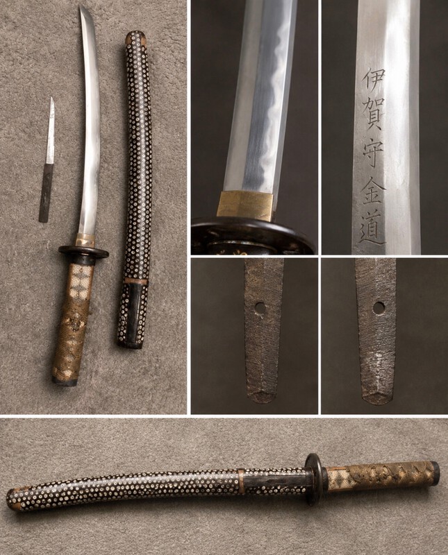 IMG_4313.jpeg