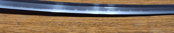 image.thumb.png.a3d8e533e290b27d16b4c4d62bdee775.png