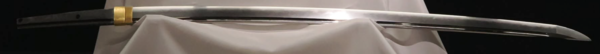 MusashiMasamune2.thumb.png.1d3f1f9f84f146d45008703f2d382607.png