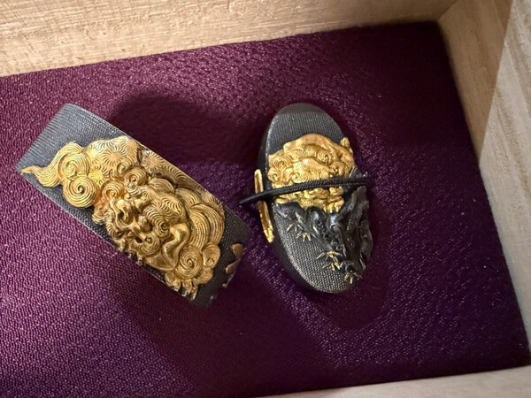 IMG_6661.jpeg