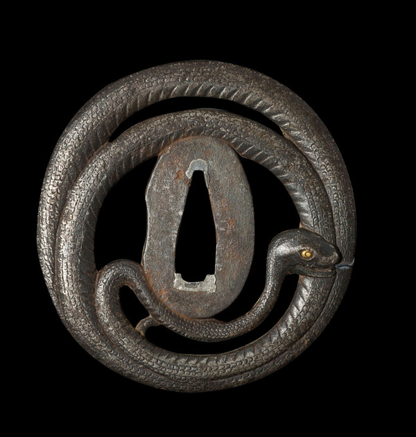 coiled_snake.jpg