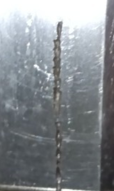 image.png.a9048064a49c1375bfbcb4c691b71b51.png